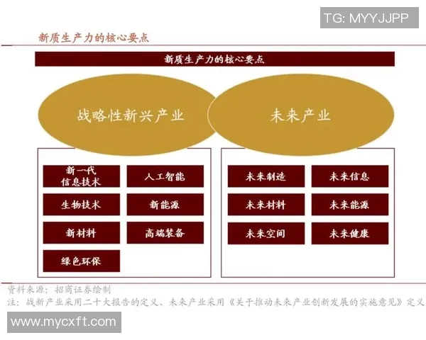 代怀博的崛起与挑战：探讨新兴领域中的机遇与风险分析